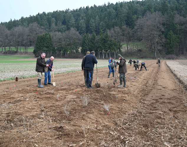 Kärntner Jägerschaft - Heckenprojekt Tainach: Österreichische Wildtierstiftung informiert