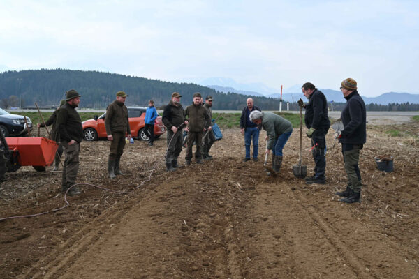 Kärntner Jägerschaft - Heckenprojekt Tainach: Österreichische Wildtierstiftung informiert